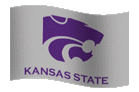 Team Flag