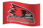 Team Flag