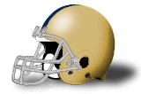 Team Helmet