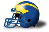 Team Helmet