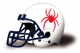 Team Helmet